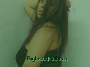 Bigbeautifulbeast