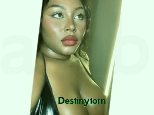 Destinytorn