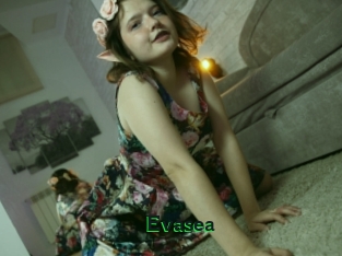 Evasea