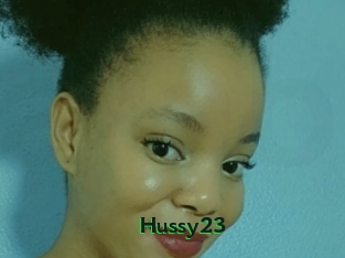 Hussy23