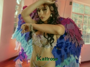 Kattrose