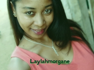 Laylahmorgane