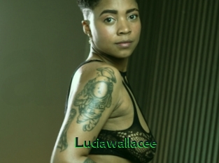 Luciawallacee