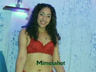 Mimosahot