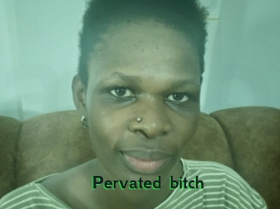 Pervated_bitch