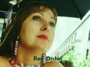 Red_Orchid