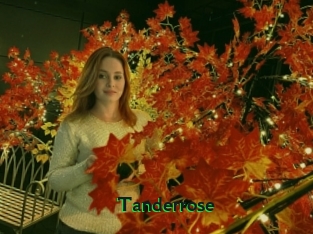 Tanderrose