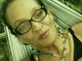 Vippussy