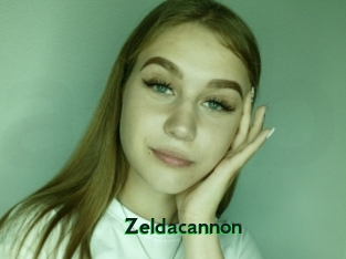 Zeldacannon